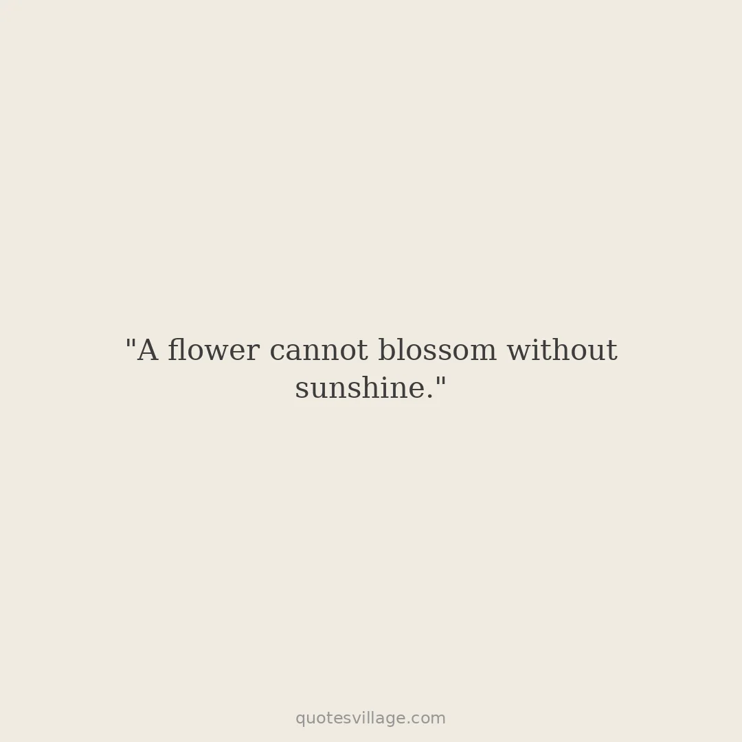Poetry About Sunlight — Evening and Endings