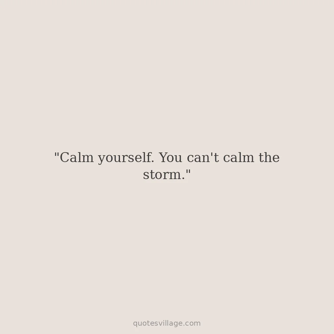 Quotes About Surviving the Storm — After the Storm