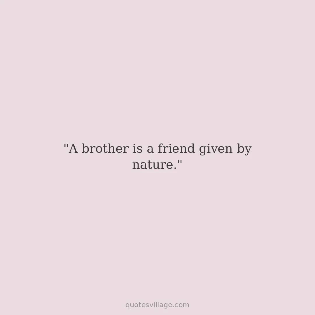 Brother Quotes from Sister for His Birthday