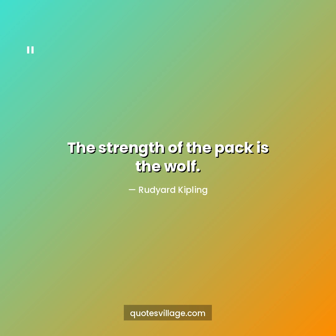 Wolf Attitude Quotes Short — For the Confident and Unbothered